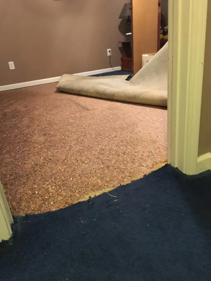 Carpet pad removal revealing water damage during Water Mitigation Services in Bloomington